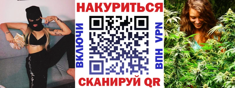 Марихуана план  Купить где  Новоржев 